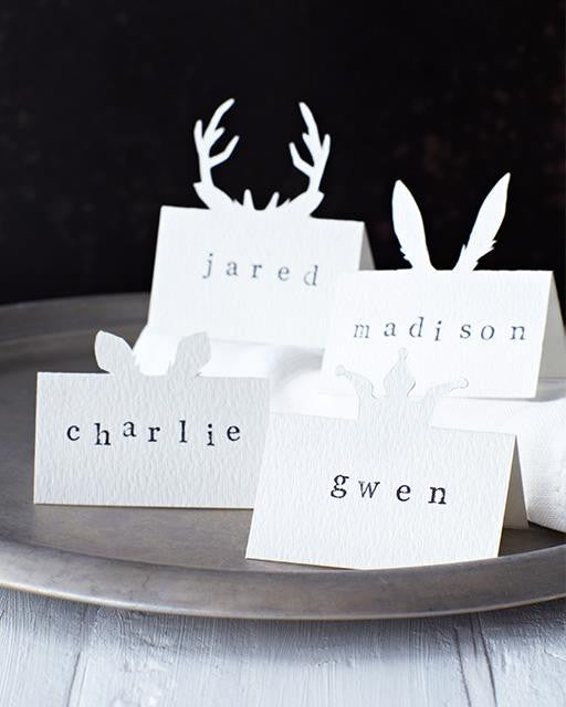 DIY Animal Place Cards
